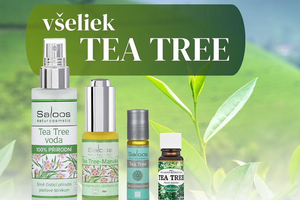 TEA TREE V KOZMETIKE - AUSTRÁLSKY VŠELIEK TEA TREE V KOZMETIKE - AUSTRÁLSKY VŠELIEK