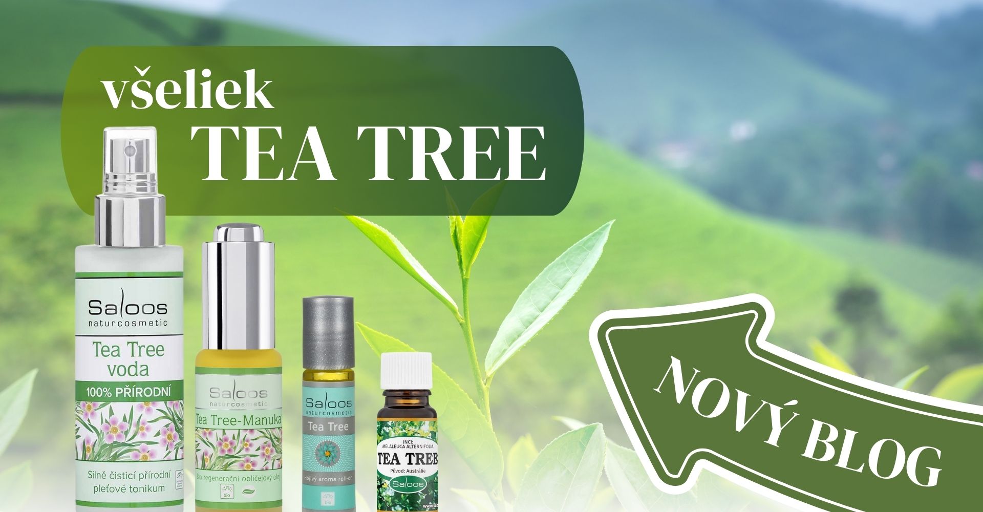 tea tree